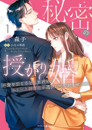 秘密の授かり婚～身を引こうとしたけど、エリート御曹司が逃がしてくれません～漫画