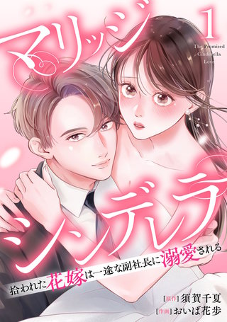 マリッジシンデレラ 拾われた花嫁は一途な副社長に溺愛される漫画