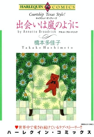 出会いは嵐のように漫画