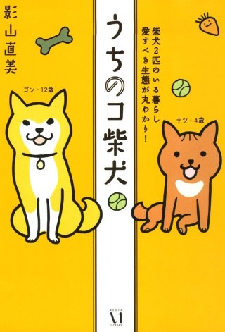 うちのコ柴犬漫画