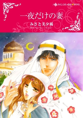 一夜だけの妻漫画