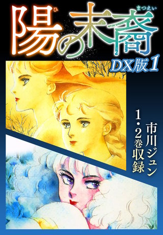 陽の末裔　ＤＸ版漫画
