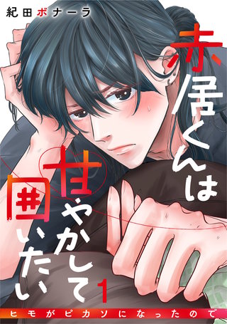 赤居くんは甘やかして囲いたい～ヒモがピカソになったので～漫画
