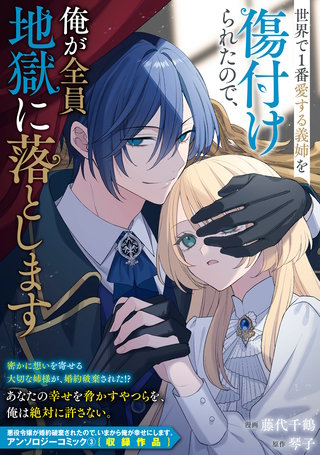 世界で１番愛する義姉を傷付けられたので、俺が全員地獄に落とします漫画