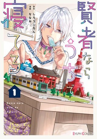 賢者ならうちで寝てる漫画
