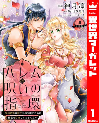 ハレムの呪いの指環～契約結婚の初夜をぶち壊すために精霊を召喚してみました～漫画