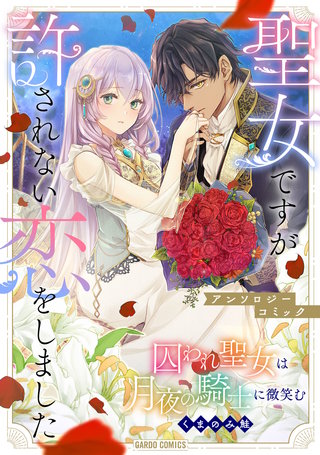 囚われ聖女は月夜の騎士に微笑む漫画
