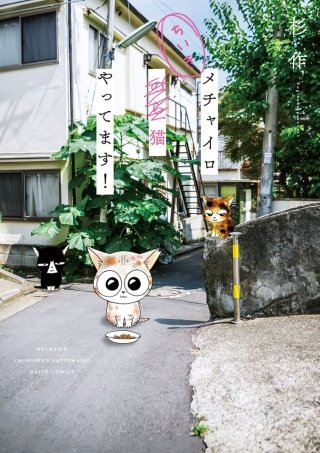 メチャイロちいき猫やってます！漫画