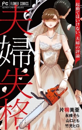 夫婦失格―起動てはいけない、夫婦の評論―漫画