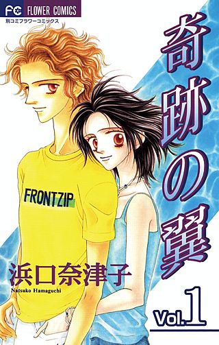 奇跡の翼漫画